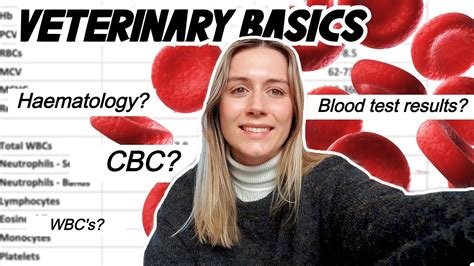 veterinary blood work interpretation